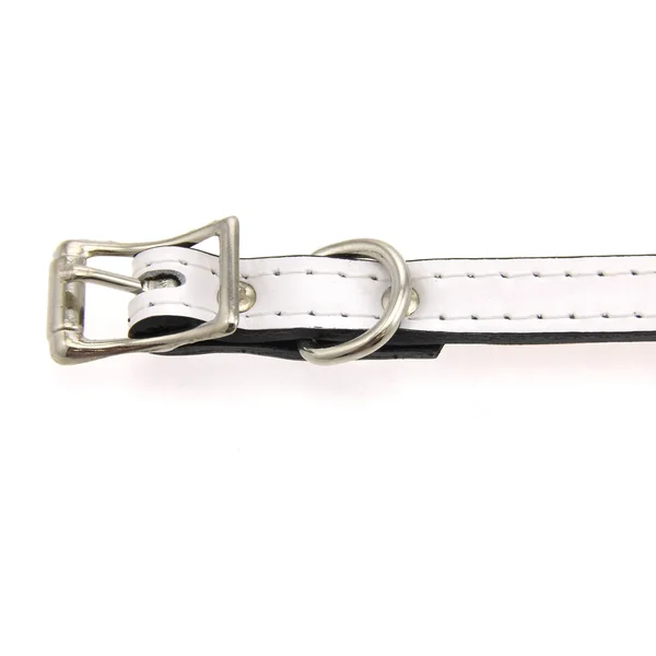 Auburn Leathercrafters Manhattan Patent Leather Dog Collar - White 22x22 L x 1x22 W