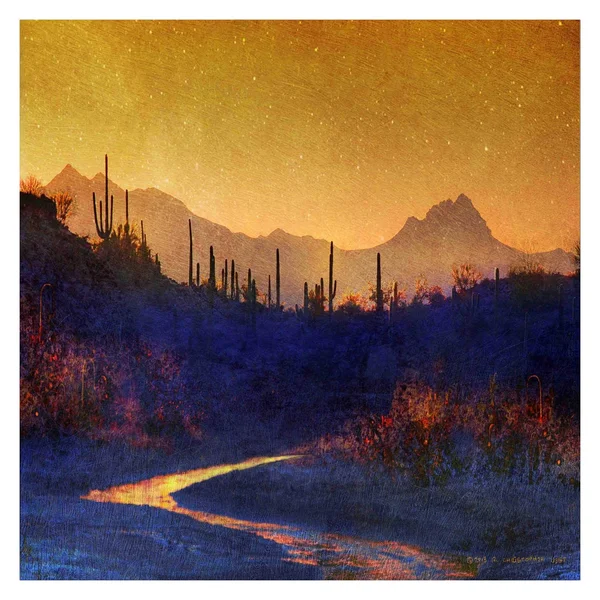 Marmont Hill Sunset Saguaros Stream Painting Print on Wrapped Canvas