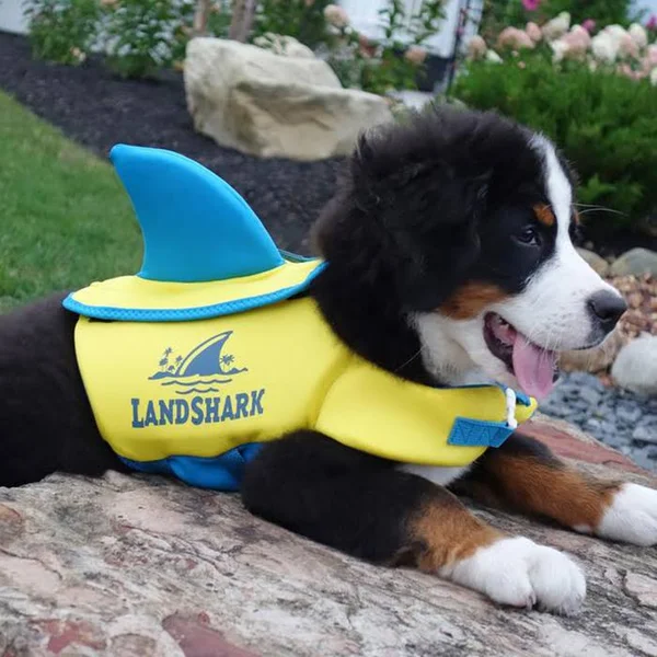 Land Shark Pet Life Vest