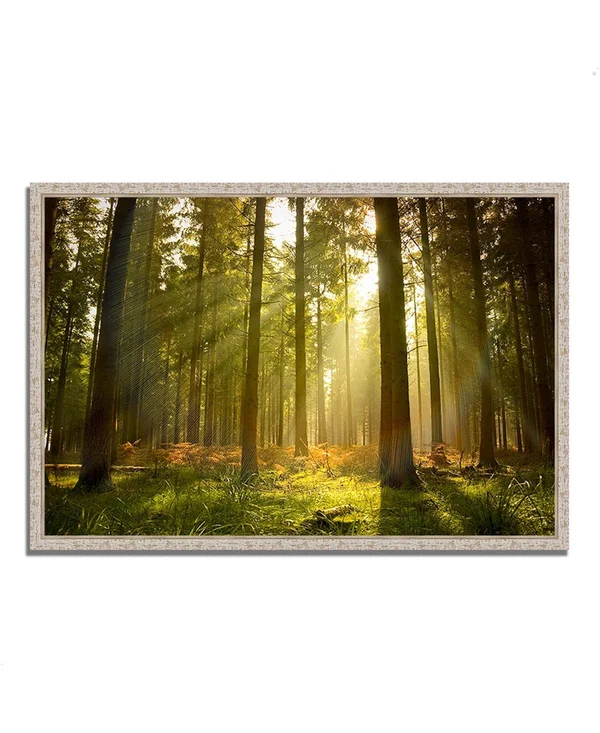 Tangletown Fine Art 22x22 x 32x22 Forest at Dusk Fine Art Giclee Print