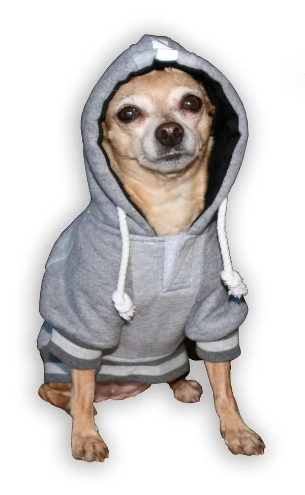 Hip Doggie New England Patriots Dog Hoodie