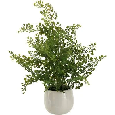 Wire Fern Ceramic Plant in Planter Zipcode Design