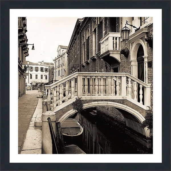 &Ponti di Venezia III& by Alan Blaustein Framed Photographic Print Picture Perfect International Size: 39.5x22 H x 39.5x22 W x 0