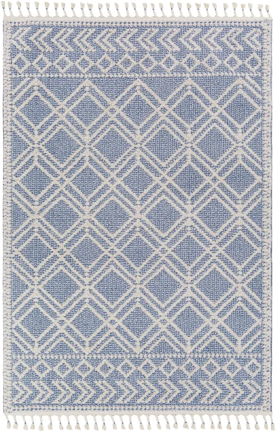 Surya Valencia VLC-2314 Dark Blue Rug, 1&6x22x1&6x22 - Sample