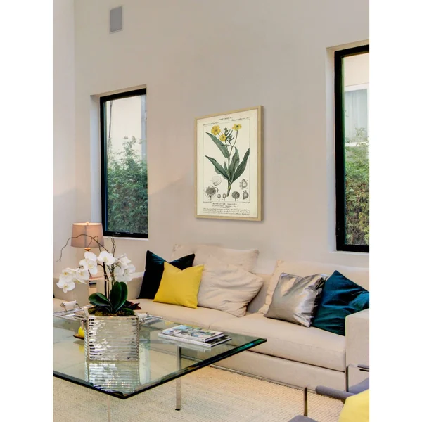 Marmont Hill Inc Botanique Study in Yellow III' Framed Painting Print, 16 x 24