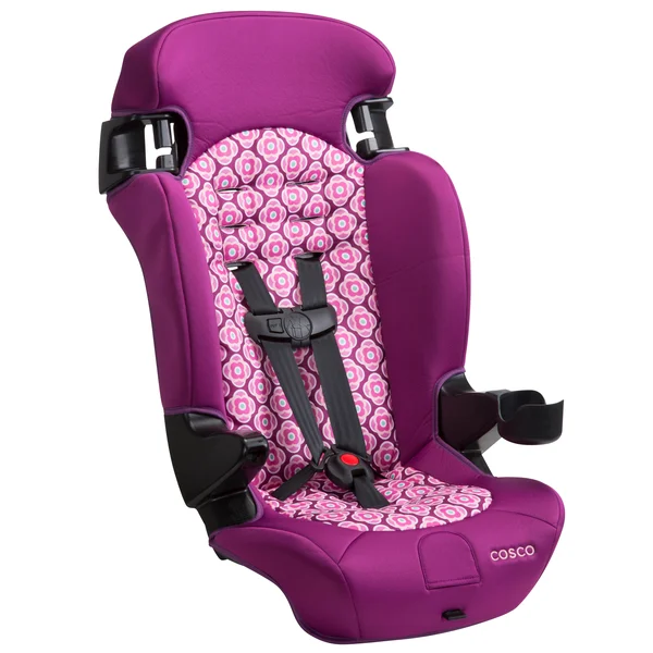 Cosco Finale 2-in-1 Booster Car Seat, Rosette