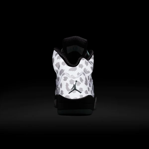 Air Jordan 5 Retro &Island Green& CN2932-100