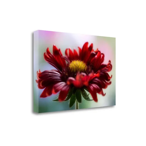 20x22 x 29x22 Flame by Mandy Disher Fine Art Giclee Print