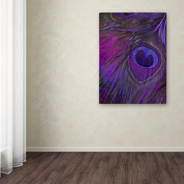 Trademark Fine Art Peacock Candy IV Canvas Art by Color Bakery - Assorted