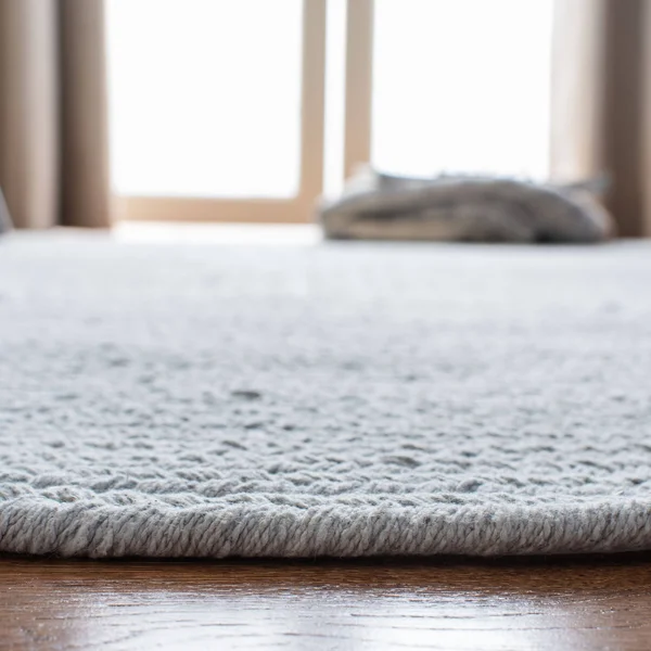 Safavieh 5& x 8& Braided BRD176A Light Blue Rug