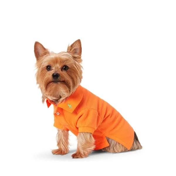 Ralph Lauren Cotton Mesh Dog Polo Shirt - Size S in Resort Orange