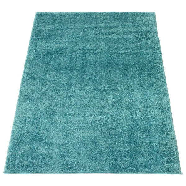 ECARPETGALLERY Cleo Shag 3'11 x 6' Accent Rug in Turquoise