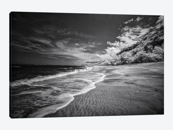 iCanvas Beach Black & White - Bahia, Brazil Art by Glauco Meneghelli Canvas Art Wall Decor ( places > South America u003