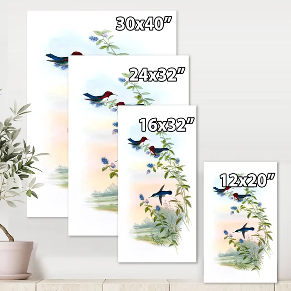 Designart 'Vintage Hummingbird II' Traditional Canvas Wall Art Print - 12 in. Wide x 20 in. High