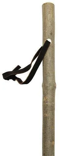 Unisex Cane Natural Bark Ash