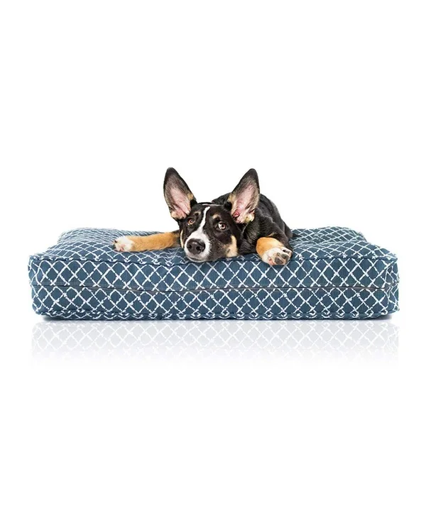 eLuxury Orthopedic Memory Foam Dog Bed, Large, Blue