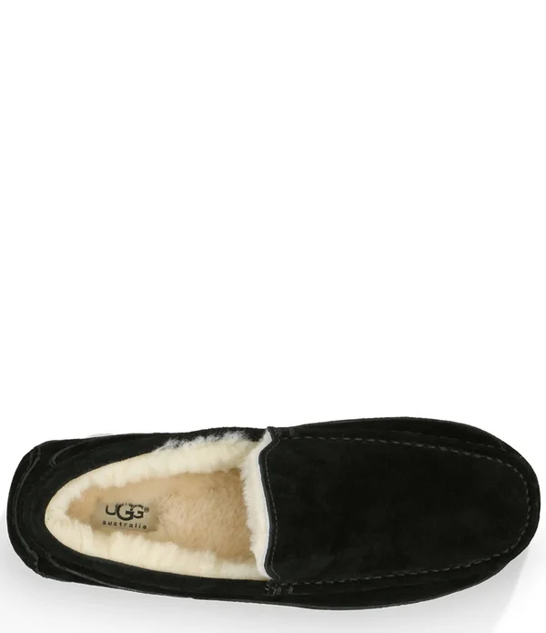 Ugg Men's Ascot