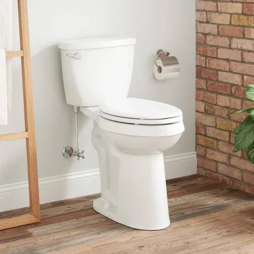 Bradenton Elongated Two-Piece Toilet in 21x22 Bowl Height in White in No Seat, Porcelain, Signature Hardware 462383