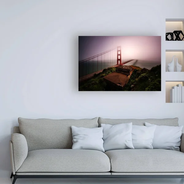 Trademark Art Bruce Gett 'White Out' Canvas Art