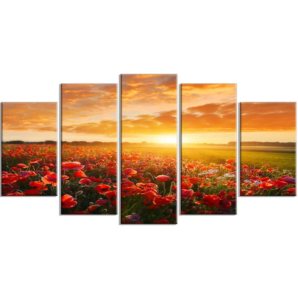 Designart &Beautiful Poppy Field at Sunset& Multipanel Canvas Art Print - 60x32 5 Panels