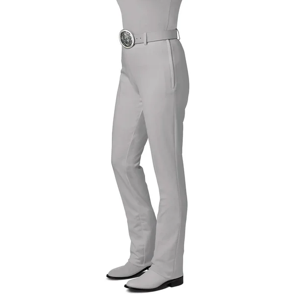 Hobby Horse Inc Women's Ezee Rider Stretch Show Pants in Sterling Size 38