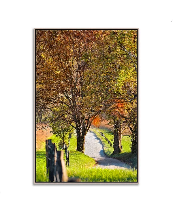 59x22 x 40x22 Country Road I Fine Art Giclee Print