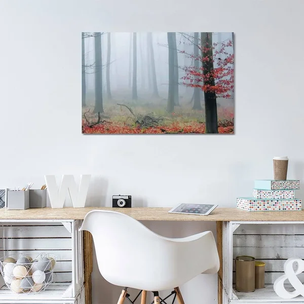 PhotoINC Studio Canvas Wall Decor Prints - Misty Woods ( scenic & landscapes > Nature > Mist & Fog art)