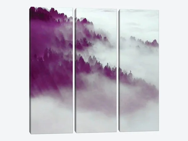 Tryptich Large Canvas Art Print - Forest Fog ( Floral & Botanical > Tree Art > Pine Trees art)