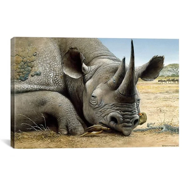 iCanvas Black Rhino by Harro Maass Graphic Art on Canvas; 18 H x 26 W x 1.5 D