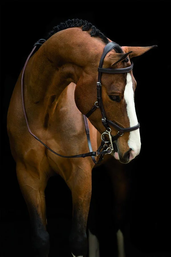 Rambo Micklem Competition Bridle - Black
