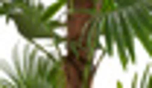 Fountain Palm Tree Artificial Decorative Foliage for Indoors 65x22 Green - 34X31X65