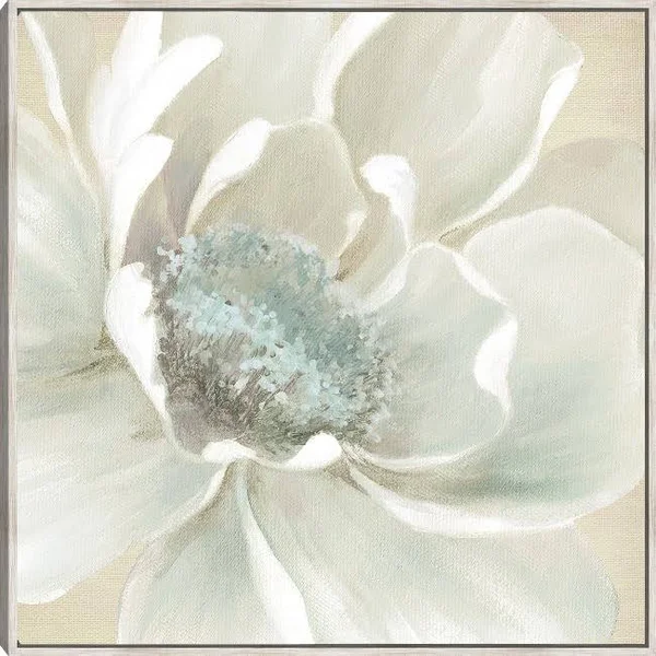 Winter Blooms I Framed Canvas Prints by Carol Robinson 22X22 Barnwood Fineartcanvas