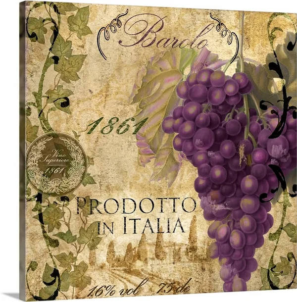 Vino Italiano II, Canvas Wall Art, 20x20, Great Big Canvas