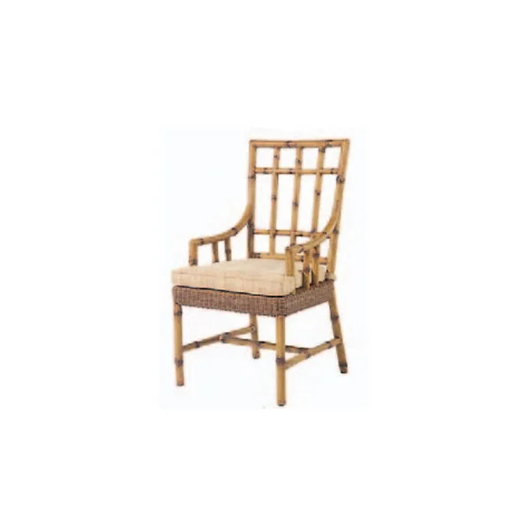Woodard South Terrace Dining Arm Chair w/ CUSHION; Fiji Nutmeg
