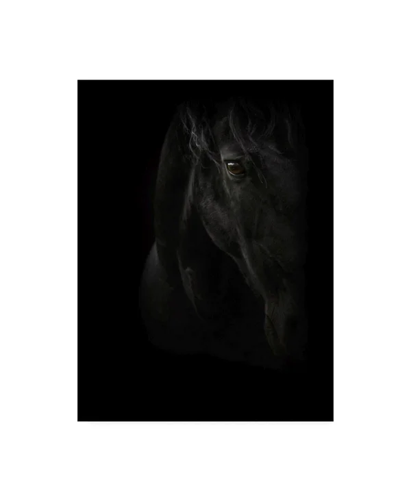 Trademark Fine Art Ic01757-C1824Gg PhotoINC Studio 'Black Pearl' Canva
