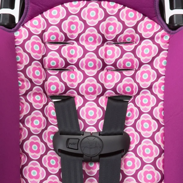 Cosco Finale 2-in-1 Booster Car Seat, Rosette