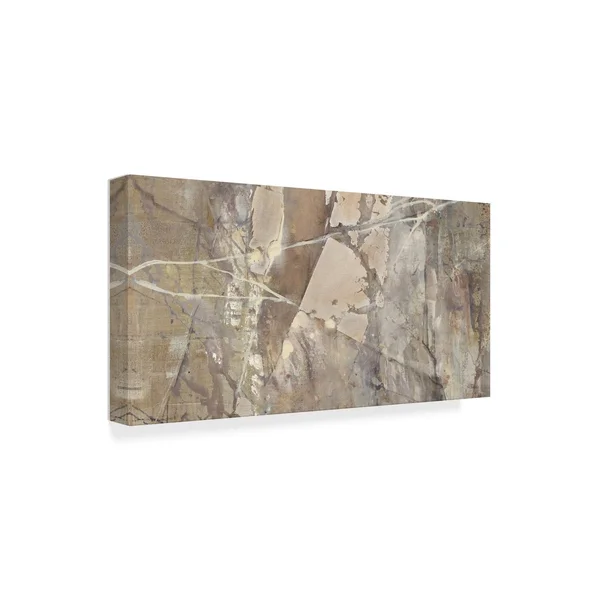 Trademark Fine Art 'Silver II Crop' Canvas Art by Albena Hristova - Size: 12 x 24