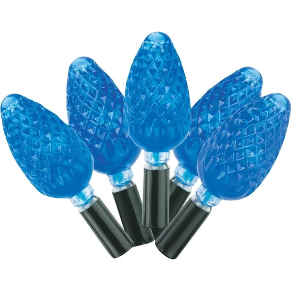 J Hofert C6 LED Light Set, Blue