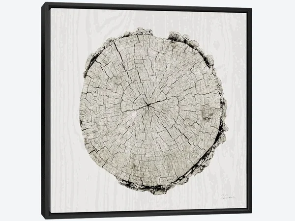 Framed Canvas Art - Woodland Years II by Sue Schlabach ( scenic & landscapes > Nature > Nature close-ups > Tree