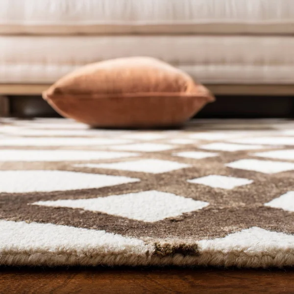 Safavieh Dip Dye Ivory/Chocolate Area Rug; 4& x 6&