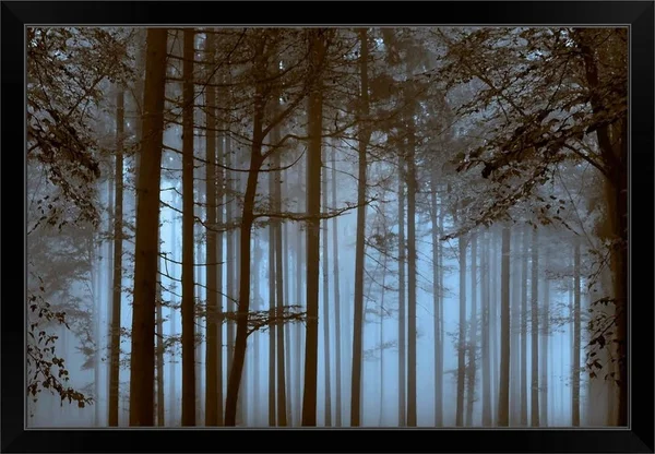 Trees Path Sepia - Black Framed Wall Art, 36x24, Great Big Canvas