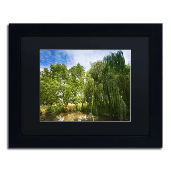 Trademark Fine Art &Waterhole& by Philippe Sainte-Laudy Framed Photographic Print - Size: 11x22 H x 14x22 W, Matte Color: Black