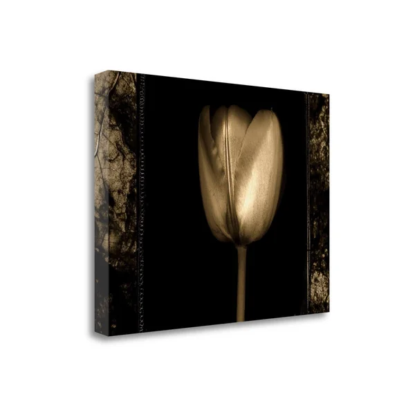 Tangletown Fine Art White Tulipa II by Rick FILLER, Giclee Print on Gallery Wrap Canvas, 33x22x25x22