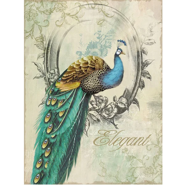 Peacock Poise I, Wall Art, Yosemite Home Decor