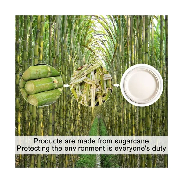 Green Earth - Natural Bagasse (Sugarcane Fiber) Tree Free 10x22 Paper Plate, Biodegradable, Compostable (500 Counts Disposable