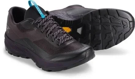 Arc&teryx Women's Norvan VT 2 GTX Shoe, Dimma/dark Firoza, Size 9.5