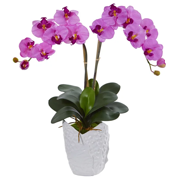 Nearly Natural Double Phalaenopsis Orchid Artificial Arrangement in White Vase