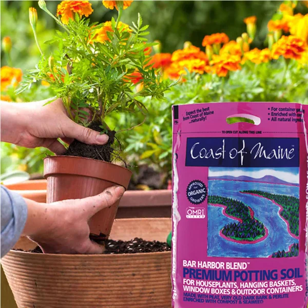 Coast of Maine Bar Harbor Blend Organic Potting Soil, 16 Quart Bag (10 Pack)