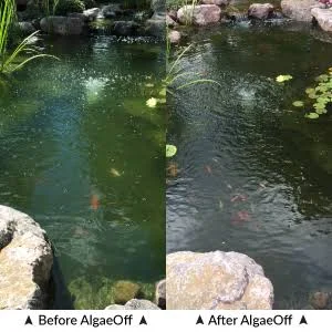 Crystalclear Algae D-Solv - 2.5 gal.