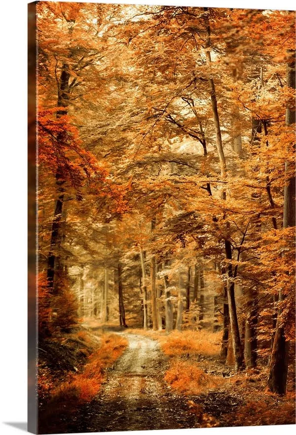 Autumn Secret, Canvas Wall Art, 32x48, Great Big Canvas